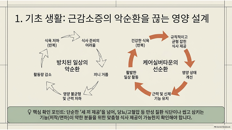 1. 기초 생활: 근감소증의 악순환을 끊는 영양 설계
